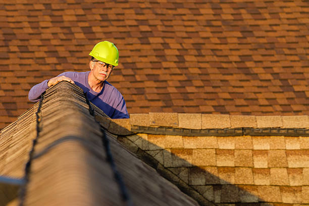 Best Best Roofing Contractors  in Aurora, SD