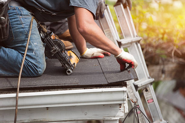 Best Shingle Roofing Installation  in Aurora, SD